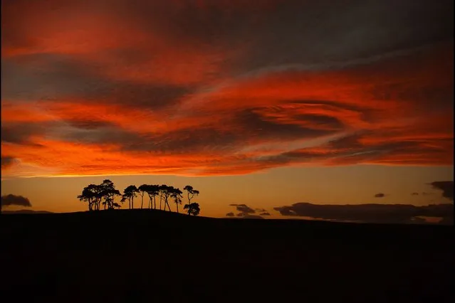 A stunning red December sunset hovers over Scotland in a scene which wouldn't look out of place in Africa. (Photo by Russell Bain/Solent News & Photo Agency)
