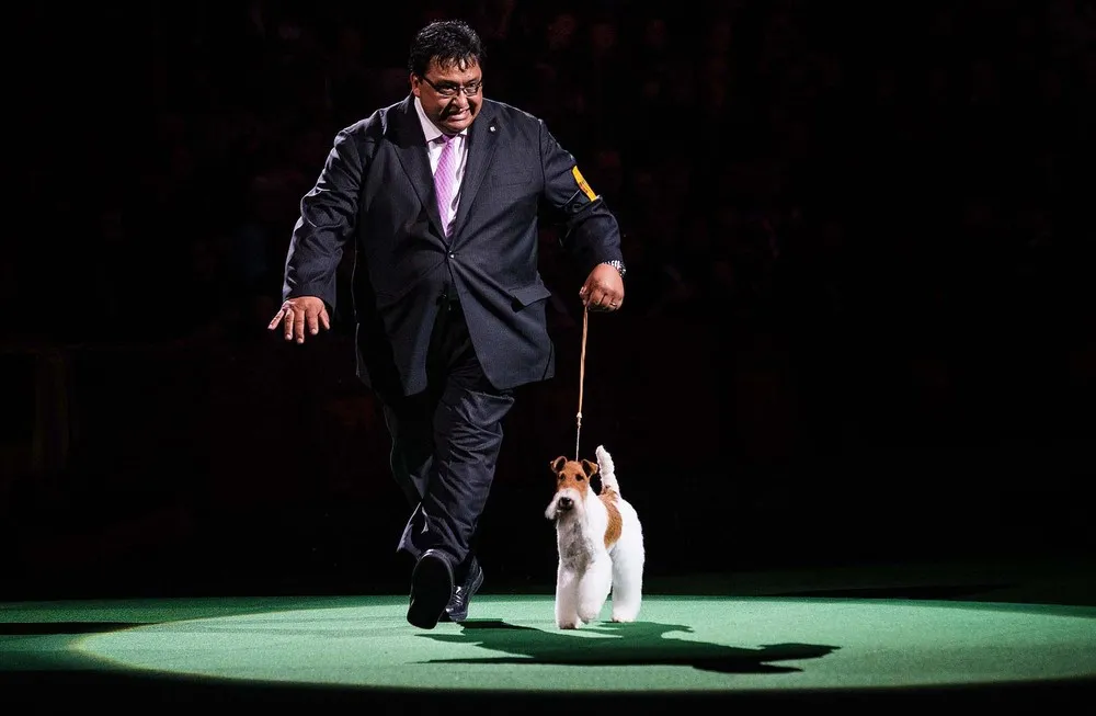 The Week in Pictures: Animals, February 8 – February 14, 2014