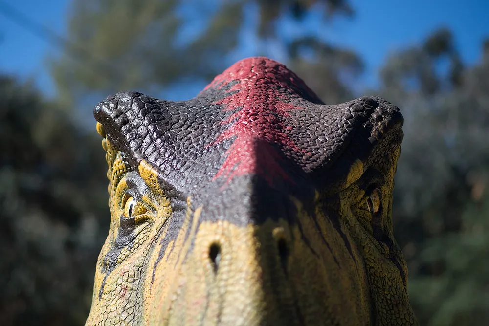 The Day in Photos – March 30, 2016