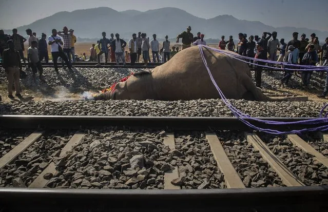 A wild male elephant, one of two killed after they were hit by a train, lays near a railway track in Durung Pathar, in the northeastern Indian state of Assam, Wednesday, December 1, 2021. “The two adult elephants were walking on the railway track when the train, on its way to the eastern tea-growing town of Dibrugarh from New Delhi ran over them, killing them almost immediately”, Dilip Kumar Das, an Assam Wildlife Ranger said. Wild elephants often stray into human habitations during this time of the year when rice is ready for harvest in the fields, he added. (Photo by Anupam Nath/AP Photo)