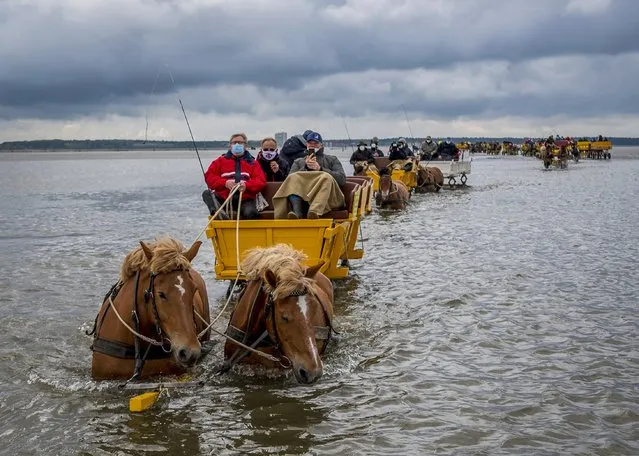 Horse-drawn carriages drive through the mudflats in Cuxhaven, Lower Saxony on May 18, 2021. A very large tidal flat has formed in the mudflats between the island of Neuwerk and the mainland. There is a danger that the island will soon be cut off from the mainland and will only be accessible by ship. The inhabitants of the North Sea island Neuwerk and the tidal flat drivers demonstrate for the preservation of the way over the tidal flat. (Photo by Sina Schuldt/dpa)