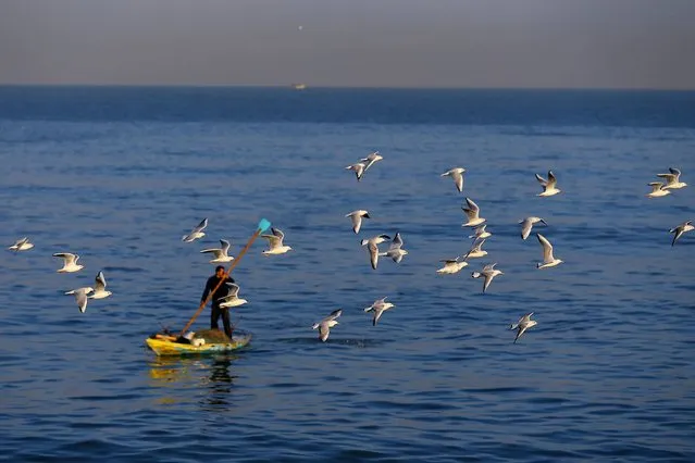 Seagulls fly over a Palestinian fisherman in Gaza City on January 30, 2017. (Photo by Mohammed Abed/AFP Photo)