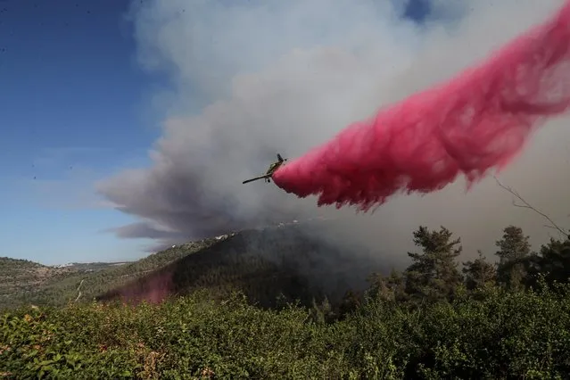 A firefighting plane disperses fire retardant as it assists in extinguishing a fire near the Israeli village of Shoresh at the outskirts of Jerusalem on August 15, 2021. (Photo by Ronen Zvulun/Reuters)