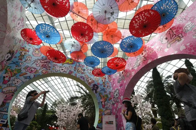 Visitors enjoy cherry blossoms and flower-themed installations displayed inside the Flower Dome of Singapore's Gardens by the Bay on March 9, 2022. (Photo by Xinhua News Agency/Rex Features/Shutterstock)
