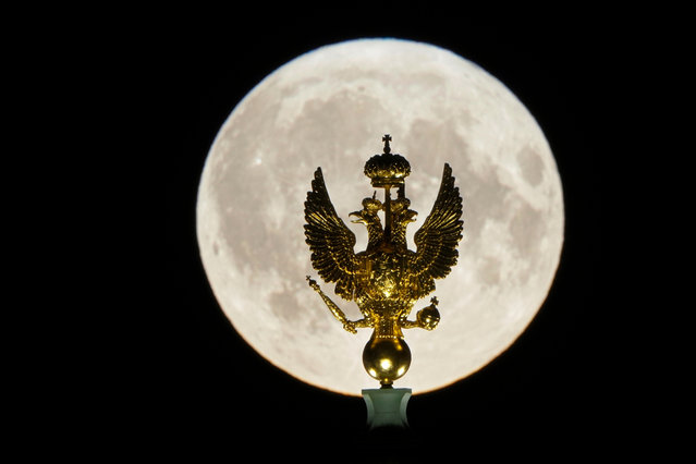 The supermoon rises over a gilded bronze sculpture of a two-headed eagle, Russia's state emblem, installed atop the Telegraph Tower of the State Hermitage Museum in St. Petersburg, Russia, Monday, August 19, 2024. (Photo by Dmitri Lovetsky/AP Photo)