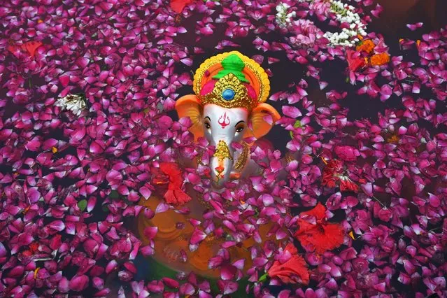 An idol of the elephant-headed Hindu god Ganesha is pictured in an artificial pond after it was immersed by devotees on the fourth day of the ten-day-long Ganesh Chaturthi festival in New Delhi on September 13, 2021. (Photo by Sajjad Hussain/AFP Photo)