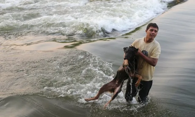 A boy plays with his dog along the beach at the river Nile, to escape from the hot weather, on the outskirts of Cairo, Egypt, August 12, 2015. A heatwave killed at least 61 people across Egypt from Sunday to Tuesday and caused nearly 600 people to be admitted to hospital, Egypt's health ministry said on state news agency MENA on Wednesday. (Photo by Mohamed Abd El Ghany/Reuters)