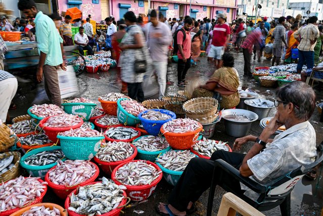 People throng the Kasimedu fishing harbour in Chennai on June 23, 2024 as fishermen returned with their catch at the end of a 61-day fishing ban along India's eastern coast imposed to protect fish stocks during their breeding season. (Photo by R. Satish Babu/AFP Photo)