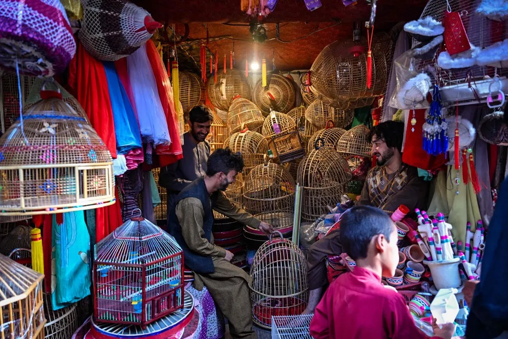 Kabul Bird Market Ka Faroshi