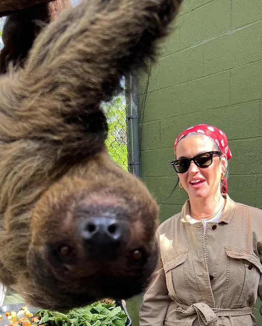 American singer-songwriter Katy Perry jokes in the last decade of July 2022 she got “lucky in Kentucky” with a new animal friend. (Photo by katyperry/Instagram)