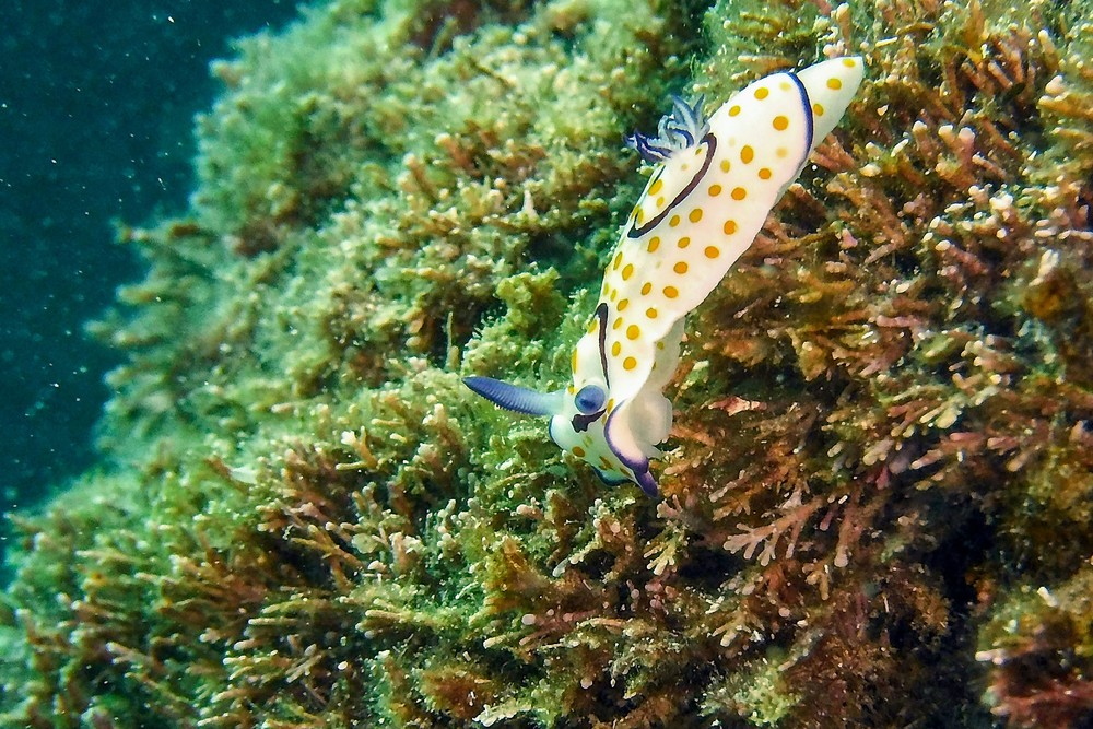 Some Photos: Waterworld