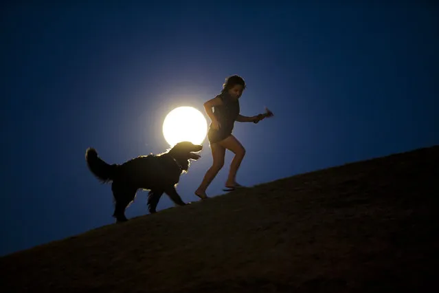 A girl plays with a dog as a perigee moon, also known as a supermoon, rises in Madrid, Sunday, August 10, 2014. The phenomenon, which scientists call a perigee moon, occurs when the moon is near the horizon and appears larger and brighter than other full moons. (Photo by Andres Kudacki/AP Photo)