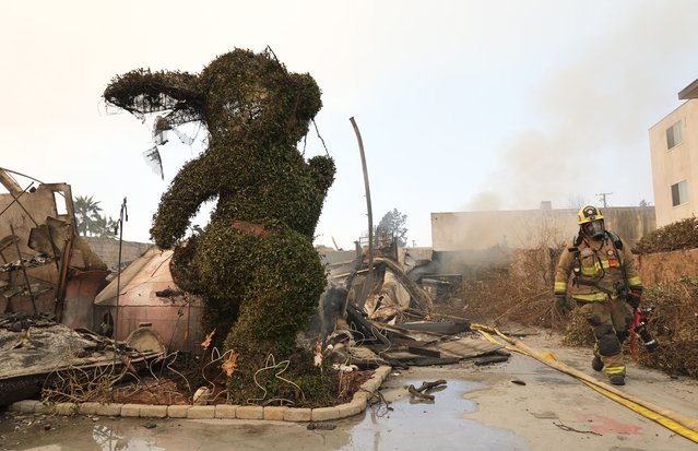 A firefighter walks past a charred bunny sculpture and debris at the destroyed Bunny Museum, Thursday, January 9, 2025, in Altadena, Calif. (Photo by Chris Pizzello/AP Photo)