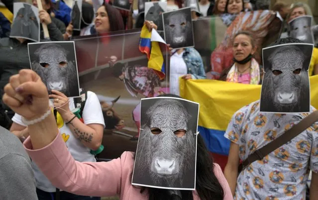 Activists demonstrate in support of animals and against bullfighting and cockfights during a protest at Bolivar square in Bogota on October 18, 2022. (Photo by Raul Arboleda/AFP Photo)