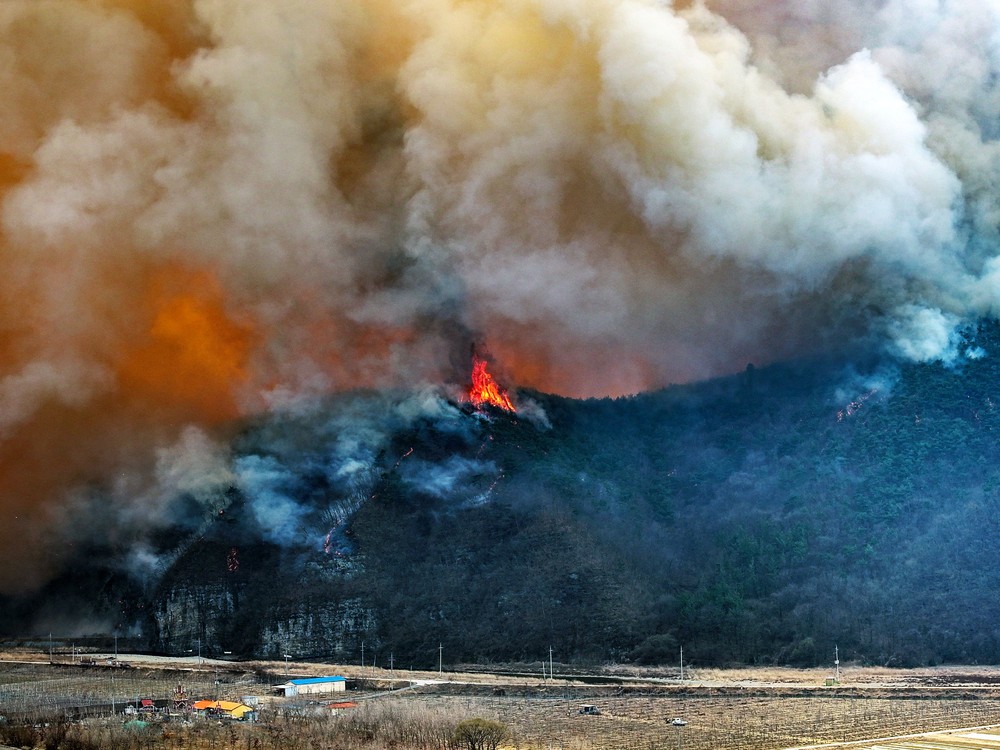 A Look at Life in South Korea