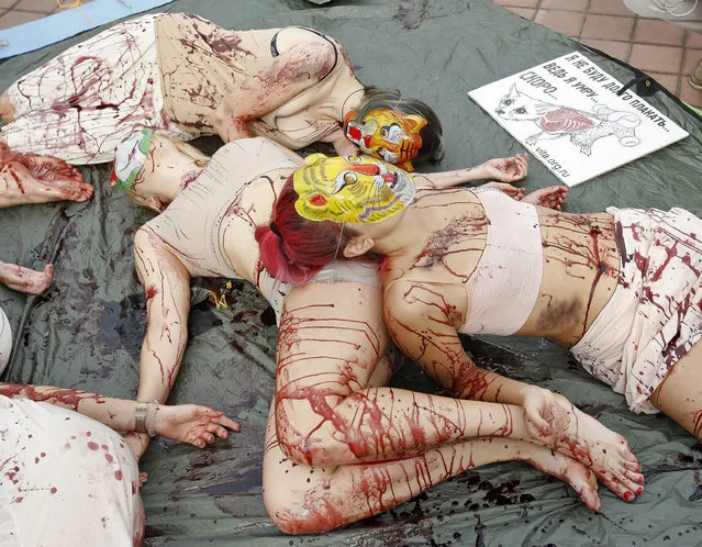 Girls depicting carcasses of animals without fur as victims of fur industry, during a protest ''Bloody bunch'' in Kiev, Ukraine on September 27, 2015. Ukrainian animal rights activists organized a protest  on the eve of their annual march called ''Fur - animals. March for Life''. The action is timed to the World Animal Day at October 4,and  aims to inform the society about the realities in obtaining fur animals, and call for humanity and compassion. (Photo by Vasyl Shevchenko/Pacific Press via ZUMA Wire)