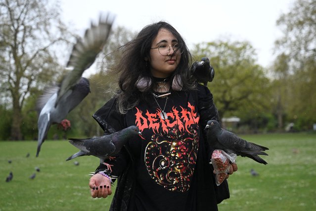A woman poses with pigeons at St. James's Park in London, Britain, on April 13, 2025. (Photo by Jaimi Joy/Reuters)