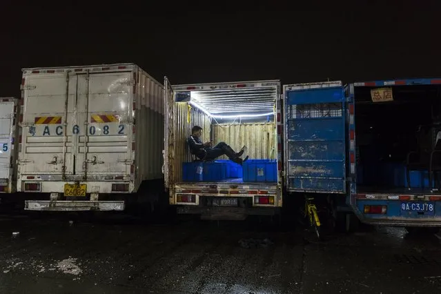 Man seats in the truck and waits to load seafood on Huangsha Seafood Market in Guangzhou, Guandong Province, China, 20 January 2018. (Photo by Aleksandar Plavevski/EPA/EFE)