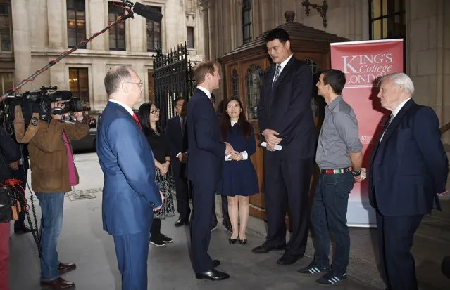 Prince William, Duke of Cambridge, meets Yao Ming, Bear Grills and Sir David Attenborough before delivering a speech on the illegal wildlife Trade For Chinese Television at King's College London on October 19, 2015 in London, England. (Photo by Stuart C. Wilson/WPA Pool/Getty Images)