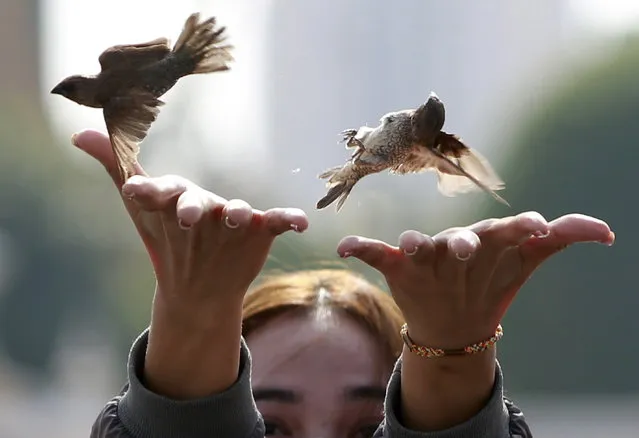 A woman releases birds in a traditional belief to get good luck in return and wishes to come true, near the Royal Palace in Phnom Penh, Cambodia, 27 February 2023. According to a statement by the US Centers for Disease Control and Prevention (CDC) released on 25 February 2023, the Cambodian Ministry of Health  by preliminary genetic sequencing has identified the virus that infected two people in Cambodia as “H5 clade 2.3.2.1c” which has circulated in the country among birds and poultry for many years. (Photo by Kith Serey/EPA/EFE/Rex Features/Shutterstock)