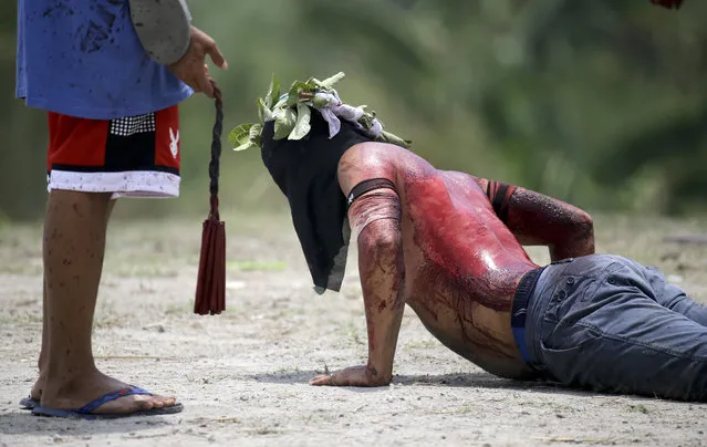 A Filipino hooded penitent gets up during Good Friday rituals to atone for sins on March 30, 2018, in Pampanga province, northern Philippines. (Photo by Aaron Favila/AP Photo)