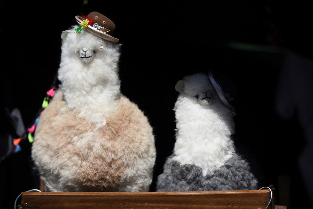 Pictures of the Year 2024, Part 110/240