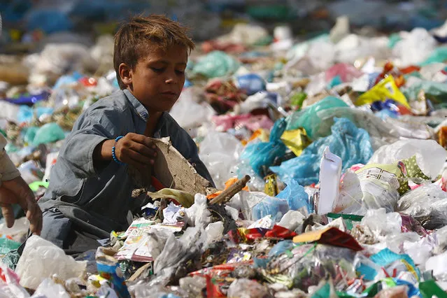 A boy collects recyclable waste from a dump on the outskirts of Karachi, Pakistan, 15 October 2020. (Photo by Shahzaib Akber/EPA/EFE)