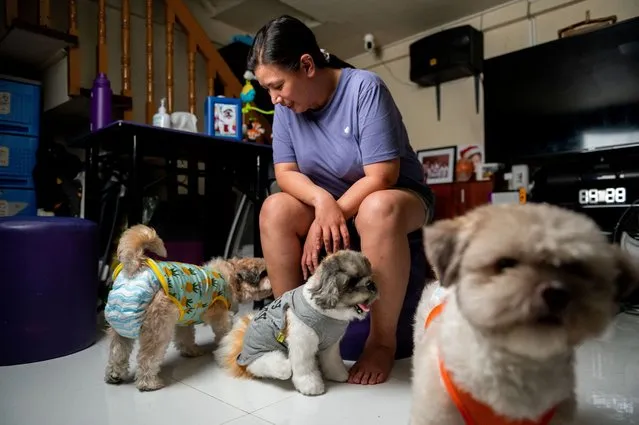Jaja Lazarte poses for a picture with the realistic pet plushie of her departed dog Kenken and her two other dogs, at her home in Caloocan City, Metro Manila, Philippines on March 23, 2023. (Photo by Lisa Marie David/Reuters)