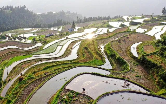 An aerial photo taken with a drone shows farmers working in terraced fields in the Jiaye Village, Qiandongnan Miao and Dong Autonomous Prefecture, Guizhou Province, China, 06 May 2023. Chinese farmers are busy with fieldwork during Lixia, the seventh solar term on the Chinese lunar calendar that marks the beginning of summer. (Photo by Luo Jinglai/Xinhua News Agency/EPA)