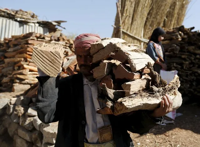 A vendor carries firewood at a market amid ongoing fuel and cooking gas shortages in Yemen's capital Sanaa December 2, 2015. (Photo by Khaled Abdullah/Reuters)