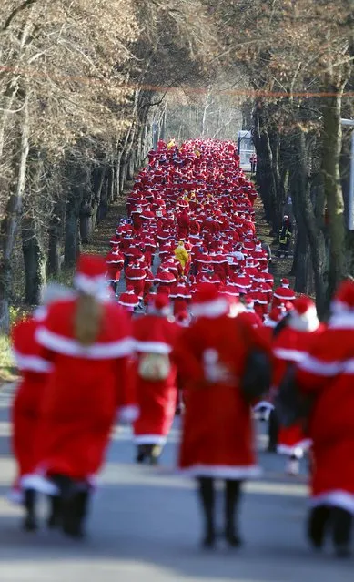 Runners dressed as Father Christmas participate in the Nikolaus Lauf (Santa Claus Run) in the east German town of Michendorf, southwest of Berlin, Germany, December 6, 2015. (Photo by Hannibal Hanschke/Reuters)