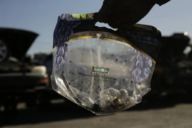 In this Wednesday, November 11, 2015 photo, a man shows a bag containing light bulbs he pulled from junk cars at Aadlen Brothers Auto Wrecking, also known as U Pick Parts, in the Sun Valley section of Los Angeles. (Photo by Jae C. Hong/AP Photo)