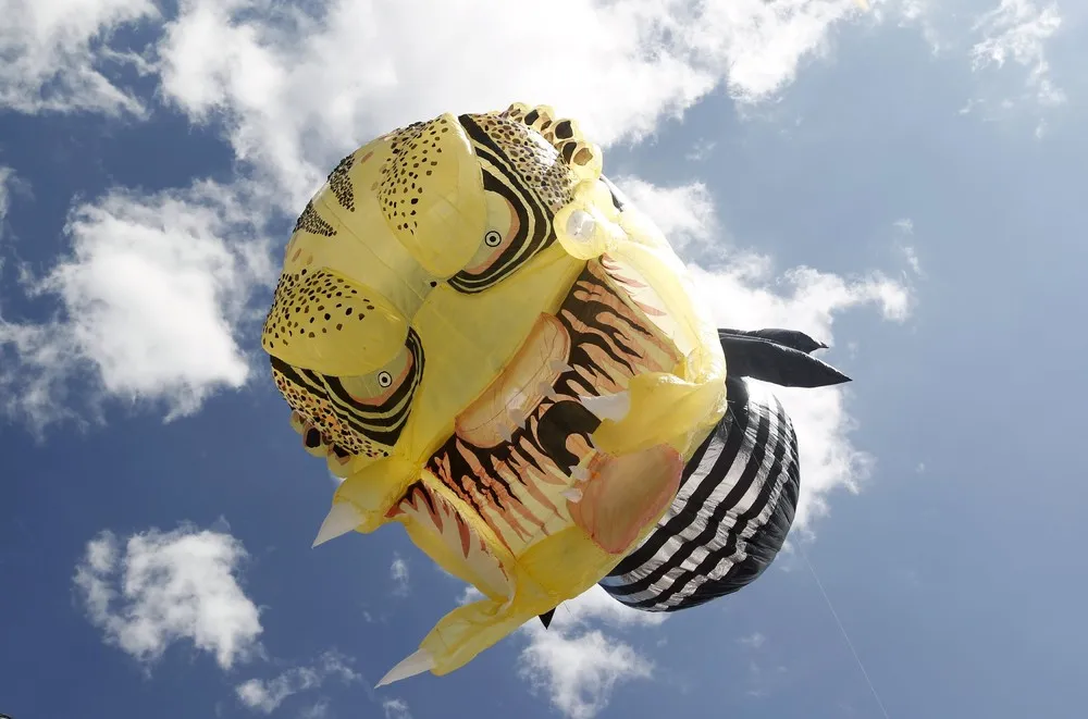 Solar Balloon Festival in Colombia