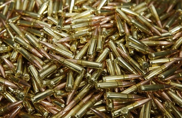 Finished 300 AAC Blackout rounds sit in a bin at Barnes Bullets in Mona, Utah, January 6, 2015. (Photo by George Frey/Reuters)