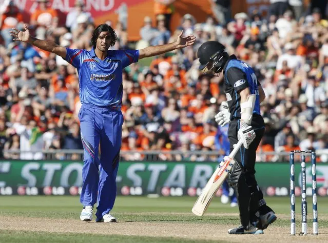 Afghanistan's Shapoor Zadran (L) celebrates dismissing New Zealand's Kane Williamson (R) during their Cricket World Cup match in Napier, March 8, 2015. REUTERS/Nigel Marple (NEW ZEALAND - Tags: SPORT CRICKET)