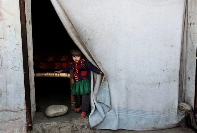In this Sunday, November 29, 2015 photo, an internally displaced girl peers through the curtain of her temporary home after her family left their village in Rodat district of Jalalabad east of Kabul, Afghanistan. (Photo by Rahmat Gul/AP Photo)