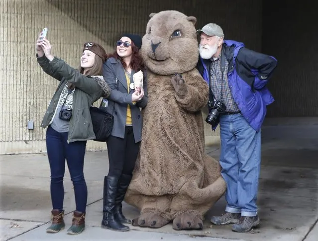 A group of visitors pose for pictures and take selfies with the “Punxsutawney Phil” mascot outside the public library in Punxsutawney, Pa., Monday, February 1, 2016. Thousands of people come to Punxsutawney for the annual celebration of Groundhog Day on Gobbler's Knob on Feb. 2. (Photo by Keith Srakocic/AP Photo)