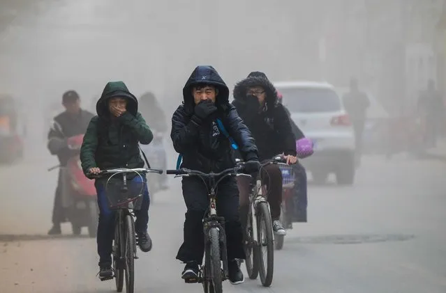 Residents cover their faces from dust as they ride their bicycles along a street on a hazy day in Zhengzhou, Henan province, on December 10, 2013. Commentaries by two of China's most influential news outlets suggesting that an ongoing air pollution crisis was not without a silver lining drew a withering reaction on Tuesday from internet users and other media. (Photo by Reuters)