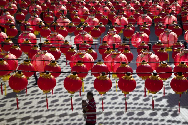A man walks with his child under traditional Chinese lanterns on display ahead of Lunar New Year celebrations at a temple in Kuala Lumpur, Malaysia Sunday, January 15, 2017. The Lunar New Year which falls on Jan. 28 this year marks the Year of the Rooster in the Chinese calendar. (Photo by Vincent Thian/AP Photo)