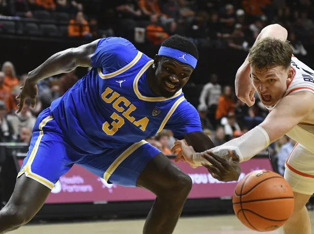 Oregon State forward Tyler Bilodeau (34) knocks the ball away from UCLA forward Adem Bona (3) during the second half of an NCAA college basketball game Thursday, December 28, 2023, in Corvallis, Ore. (Photo by Mark Ylen/AP Photo)
