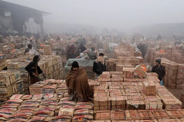 People cover themselves to stay warm during heavy fog, early in the morning at the fruit wholesale market on the outskirts of Peshawar, Pakistan on January 8, 2024. (Photo by Fayaz Aziz/Reuters)