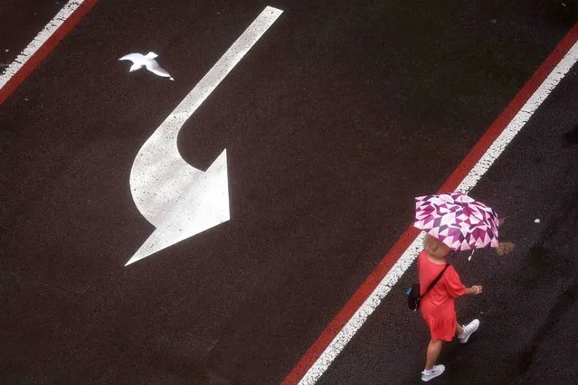 A seagull flies past a woman as she walks down a road holding an umbrella on a rainy day in central Sydney on November 23, 2023. (Photo by David Gray/AFP Photo)