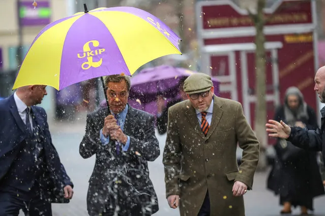 UKIP leader Paul Nuttall (R) and former Leader Nigel Farage MEP dodge an egg thrown by a youth as they arrive in Stoke-On-Trent for a public meeting this evening on February 6, 2017 in Stoke, England. The Stoke-On-Trent central by-election has been called after sitting Labour MP Tristram Hunt resigned from his seat to be a museum director. The seat has always been a Labour stronghold but will see fierce competition from The United Kingdom Independence Party (UKIP) as they target people who voted for Brexit and the tradtional Labour working classes. (Photo by Christopher Furlong/Getty Images)