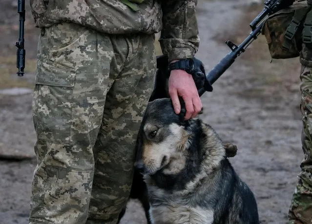 A Ukrainian service member touches a dog on the front line near Travneve in Donetsk region, Ukraine, December 15, 2021. (Photo by Gleb Garanich/Reuters)
