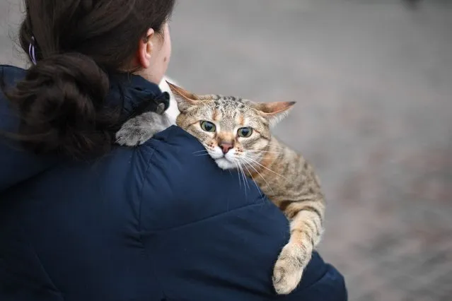 A woman carries her cat as she walks near Kyiv-Pasazhyrskyi railway station in Kyiv in the morning of February 24, 2022. Air raid sirens rang out in downtown Kyiv today as cities across Ukraine were hit with what Ukrainian officials said were Russian missile strikes and artillery. (Photo by Daniel Leal/AFP Photo)