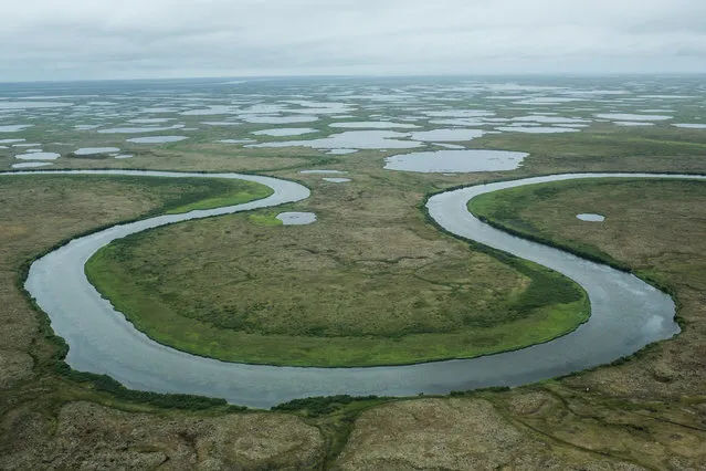 The marshy, tundra landscape surrounding Newtok is seen from a plane on July 6, 2015 outside Newtok, Alaska. Newtok, which has a population of approximately of 375 ethnically Yupik people, was established along the shores of the Ninglick River, near where the river meets the Bering Sea, by the Bureau of Indian Affairs (BIA) in 1959. (Photo by Andrew Burton/Getty Images)