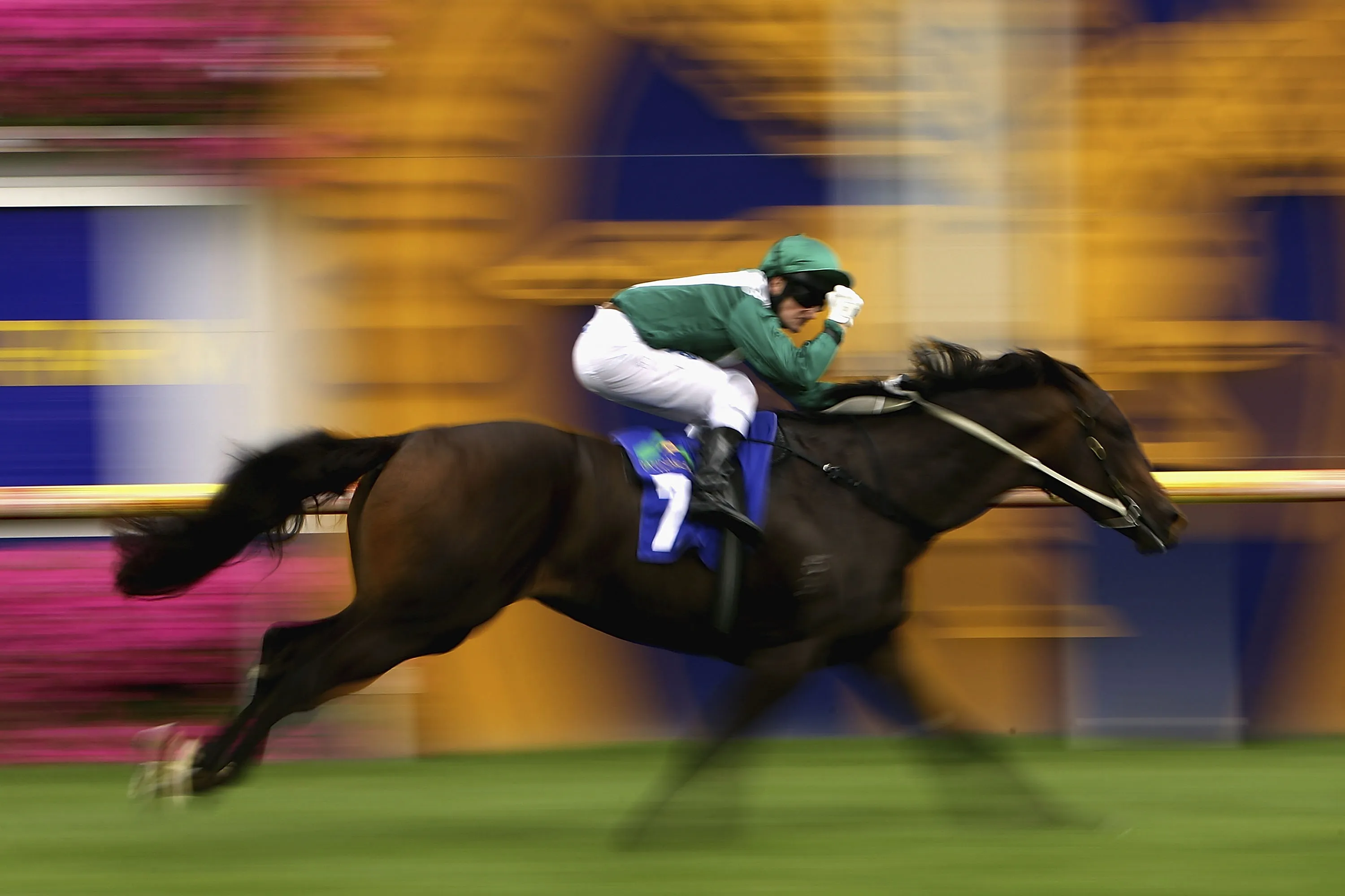 Pictures Of Recent Events Sport February 13 2012 