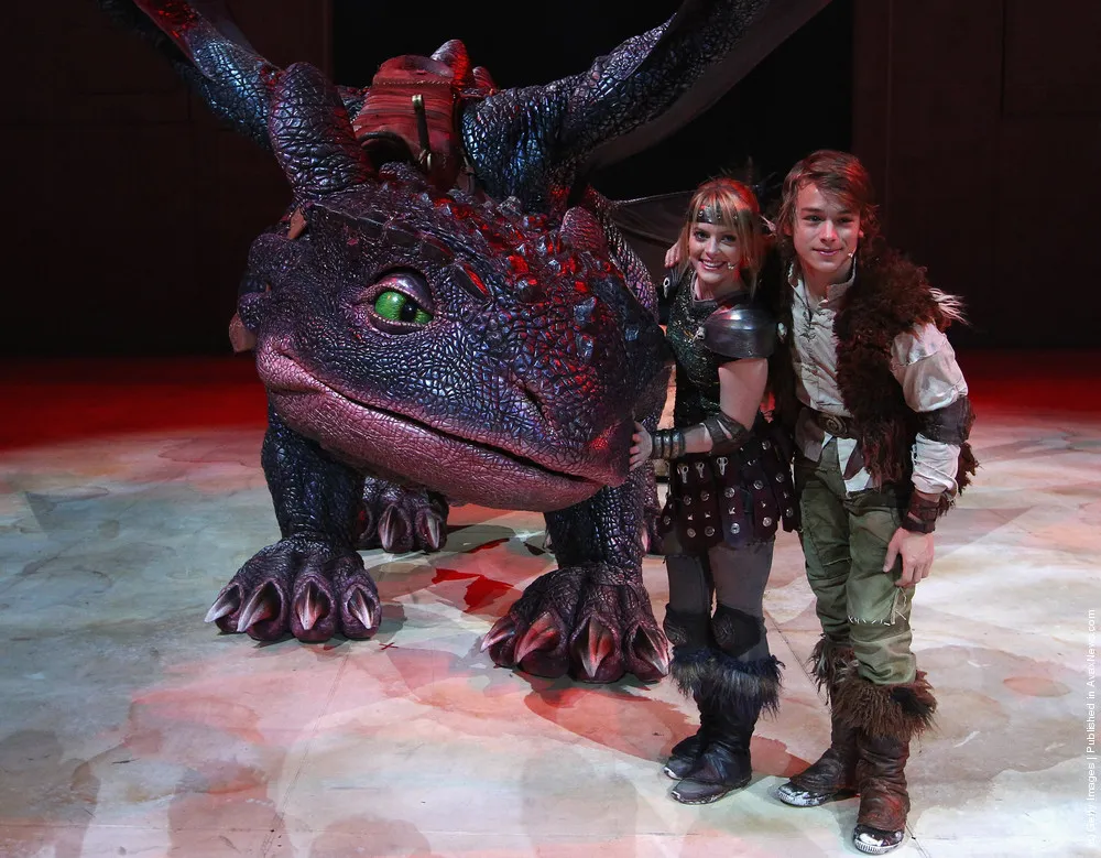 How to Train your Dragon Media Call
