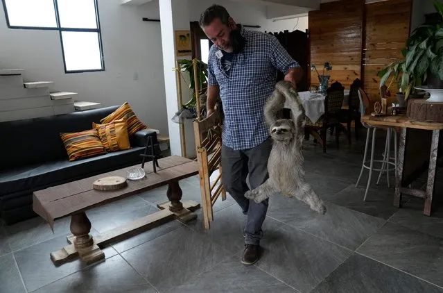 Juan Carlos Rodriguez holds on to sloth Chuwie in San Antonio, on the outskirt of Caracas, Venezuela, Saturday, March 12, 2022. Juan Carlos and his wife Haydee have transformed their home into a sloth rescue and rehabilitation center that seeks to care for and release sloths that have suffered electrocutions or accidents. (Photo by Ariana Cubillos/AP Photo)