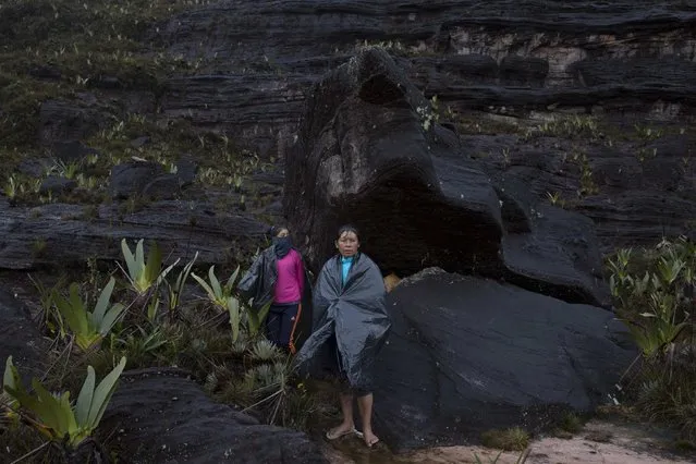 Pemon indigenous porters cover themselves from the rain with plastics bags on top of Roraima Mount, near Venezuela's border with Brazil January 16, 2015. A mysterious table-topped mountain on the Venezuela-Brazil border that perplexed 19th century explorers and inspired “The Lost World” novel is attracting ever more modern-day adventurers. (Photo by Carlos Garcia Rawlins/Reuters)